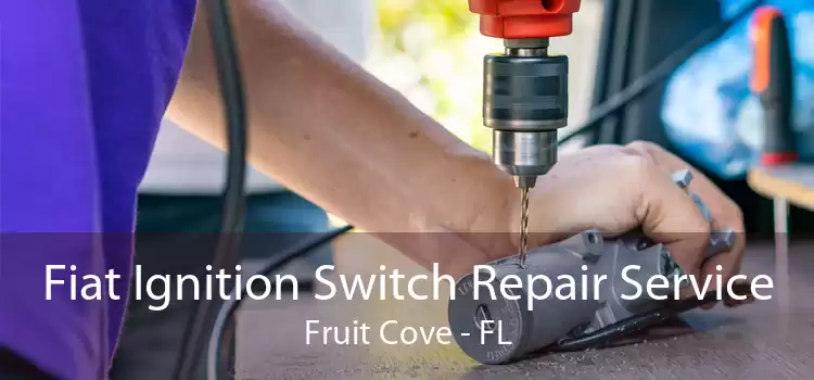Fiat Ignition Switch Repair Service Fruit Cove - FL