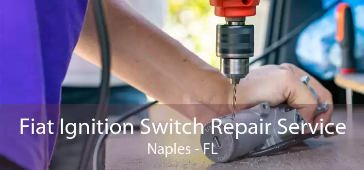 Fiat Ignition Switch Repair Service Naples - FL