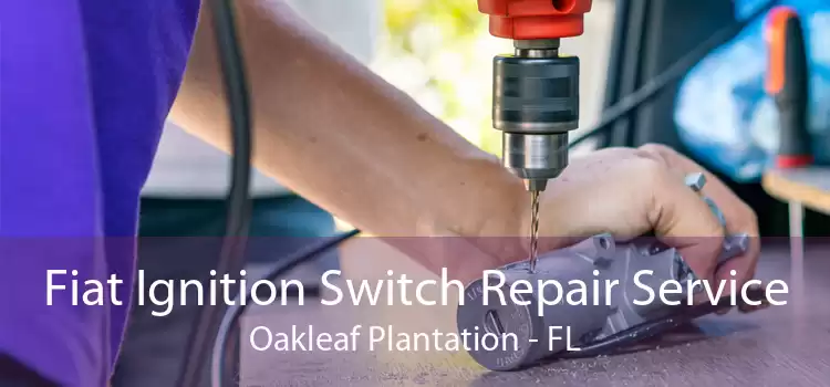 Fiat Ignition Switch Repair Service Oakleaf Plantation - FL
