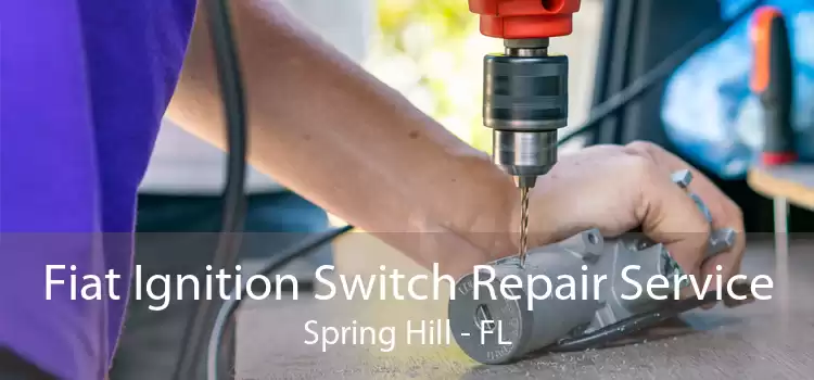 Fiat Ignition Switch Repair Service Spring Hill - FL
