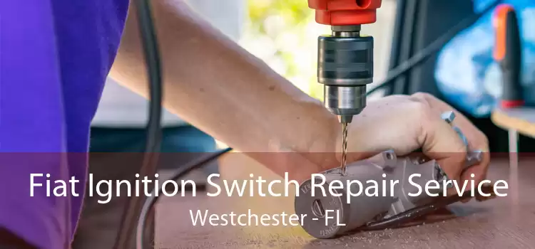 Fiat Ignition Switch Repair Service Westchester - FL