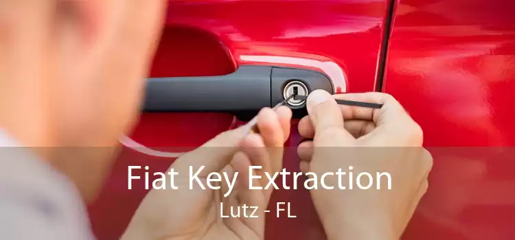 Fiat Key Extraction Lutz - FL