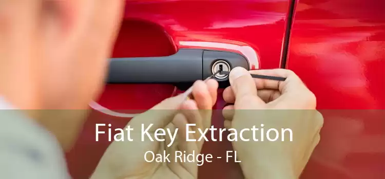 Fiat Key Extraction Oak Ridge - FL