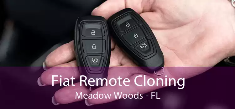 Fiat Remote Cloning Meadow Woods - FL