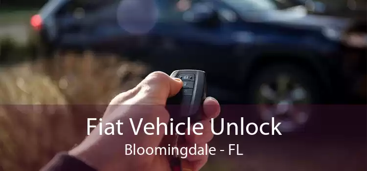 Fiat Vehicle Unlock Bloomingdale - FL