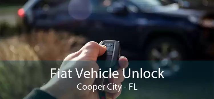 Fiat Vehicle Unlock Cooper City - FL