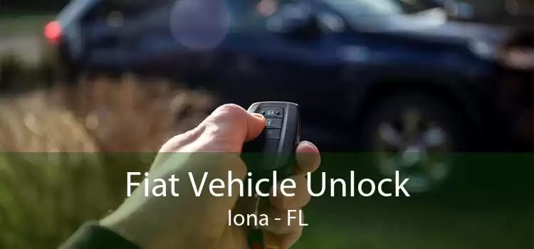 Fiat Vehicle Unlock Iona - FL