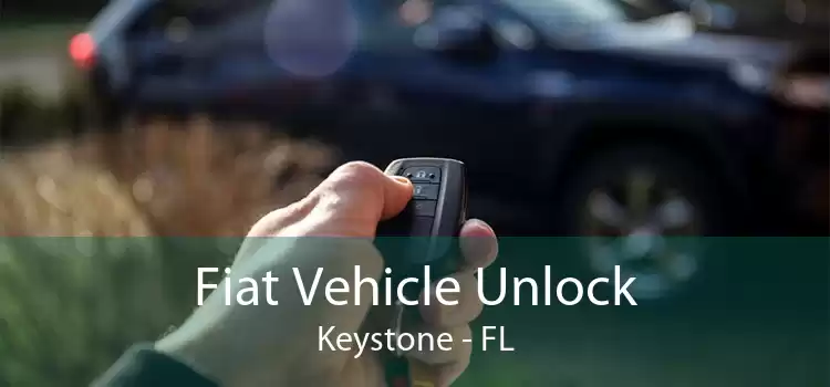 Fiat Vehicle Unlock Keystone - FL