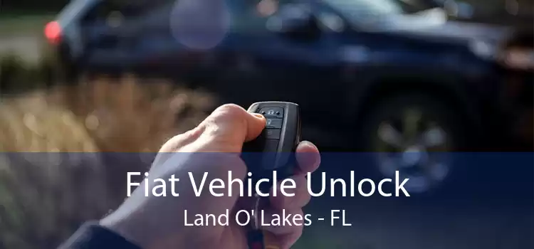 Fiat Vehicle Unlock Land O' Lakes - FL