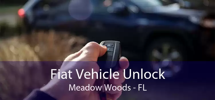 Fiat Vehicle Unlock Meadow Woods - FL