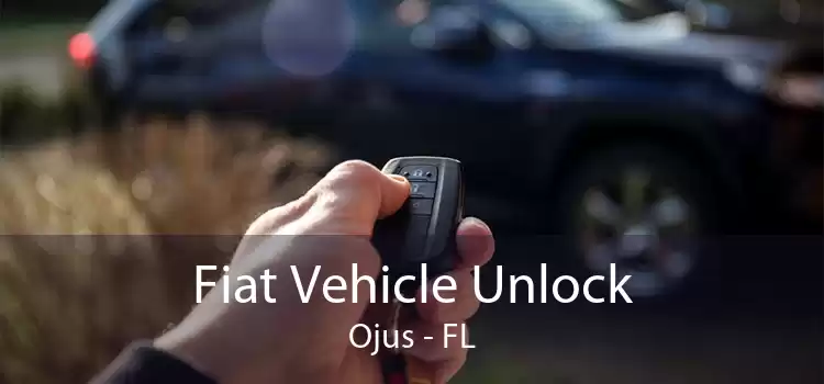 Fiat Vehicle Unlock Ojus - FL