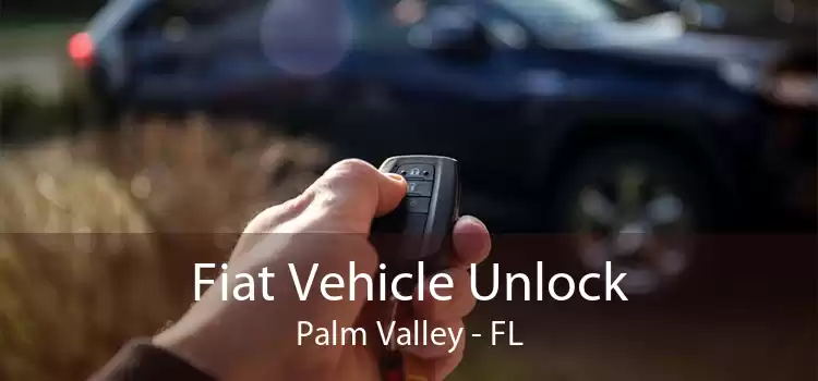 Fiat Vehicle Unlock Palm Valley - FL