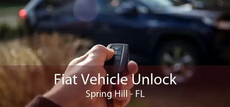 Fiat Vehicle Unlock Spring Hill - FL