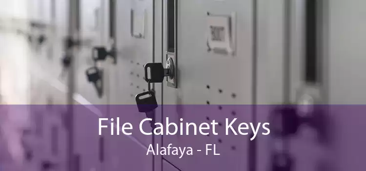 File Cabinet Keys Alafaya - FL