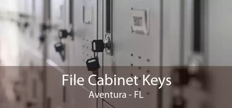 File Cabinet Keys Aventura - FL
