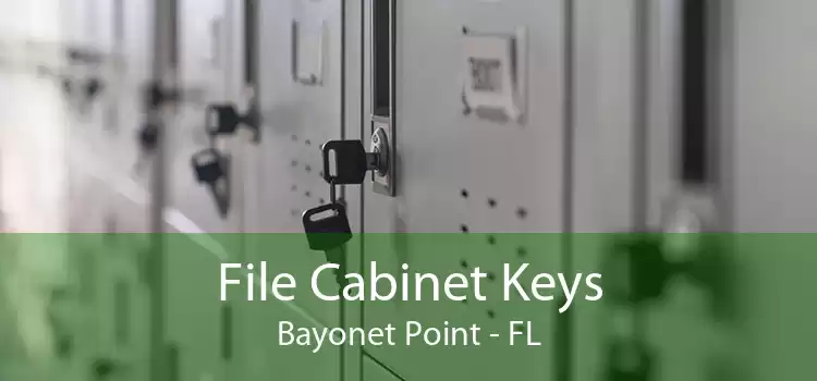 File Cabinet Keys Bayonet Point - FL