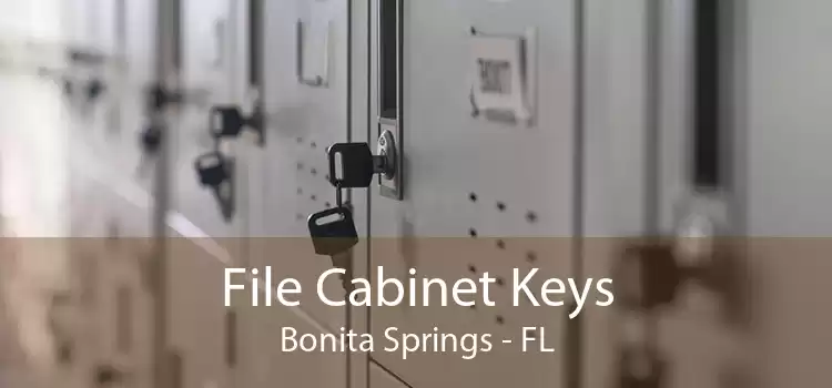 File Cabinet Keys Bonita Springs - FL