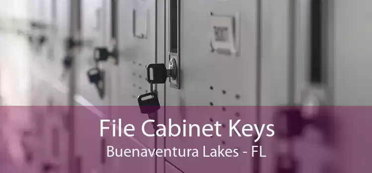 File Cabinet Keys Buenaventura Lakes - FL