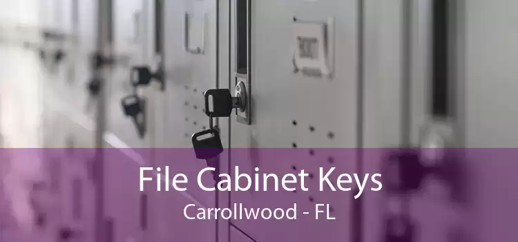 File Cabinet Keys Carrollwood - FL