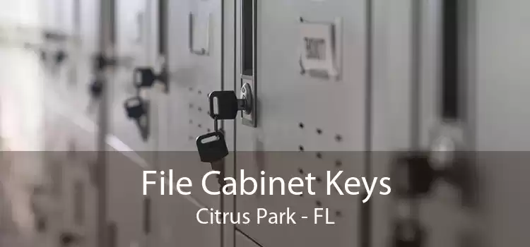 File Cabinet Keys Citrus Park - FL