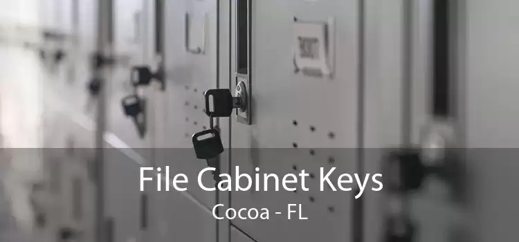 File Cabinet Keys Cocoa - FL