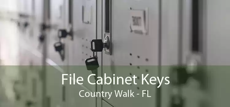 File Cabinet Keys Country Walk - FL