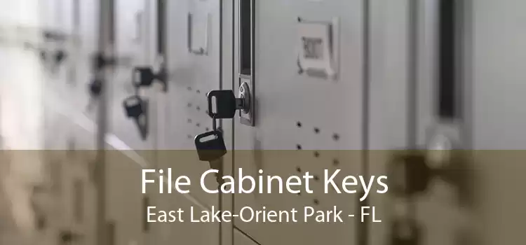 File Cabinet Keys East Lake-Orient Park - FL