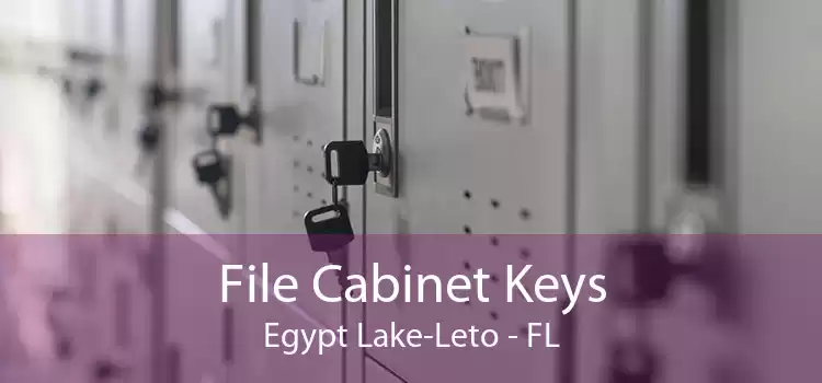 File Cabinet Keys Egypt Lake-Leto - FL