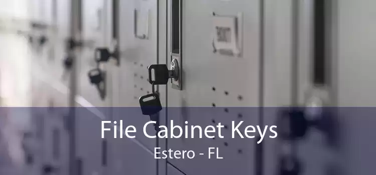 File Cabinet Keys Estero - FL