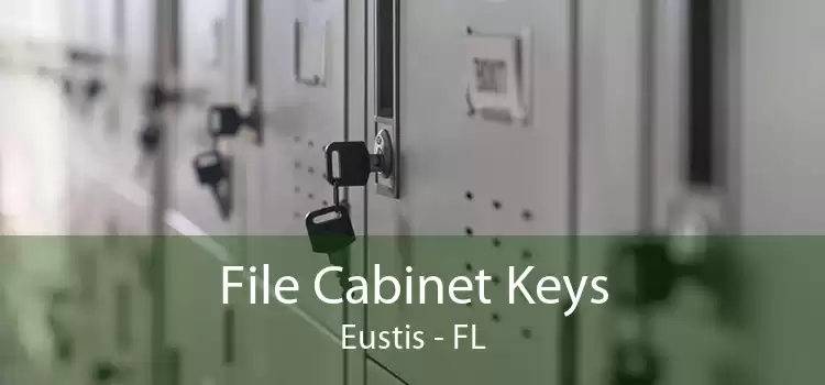 File Cabinet Keys Eustis - FL