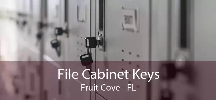File Cabinet Keys Fruit Cove - FL