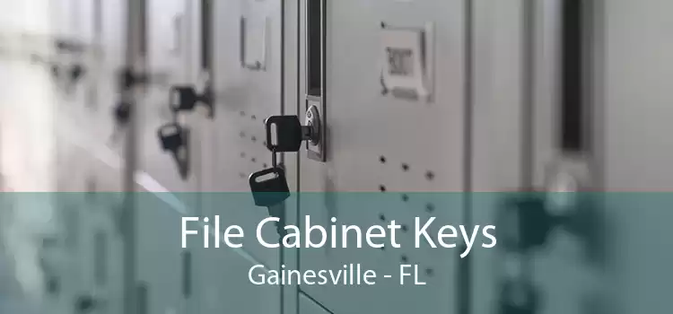 File Cabinet Keys Gainesville - FL