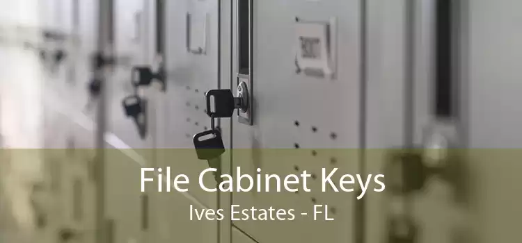 File Cabinet Keys Ives Estates - FL