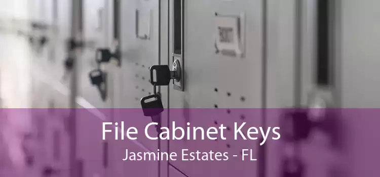 File Cabinet Keys Jasmine Estates - FL