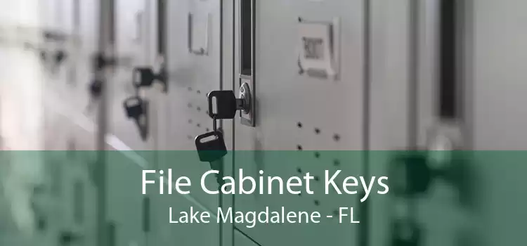 File Cabinet Keys Lake Magdalene - FL