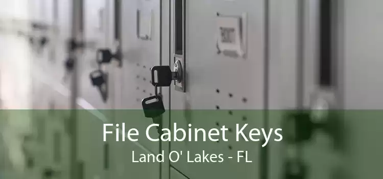 File Cabinet Keys Land O' Lakes - FL