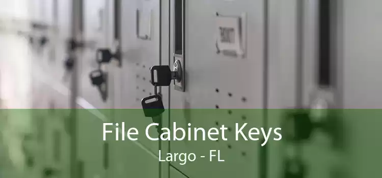 File Cabinet Keys Largo - FL