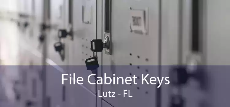 File Cabinet Keys Lutz - FL