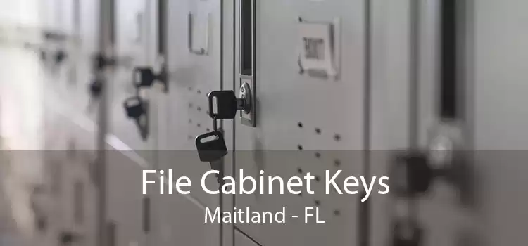 File Cabinet Keys Maitland - FL