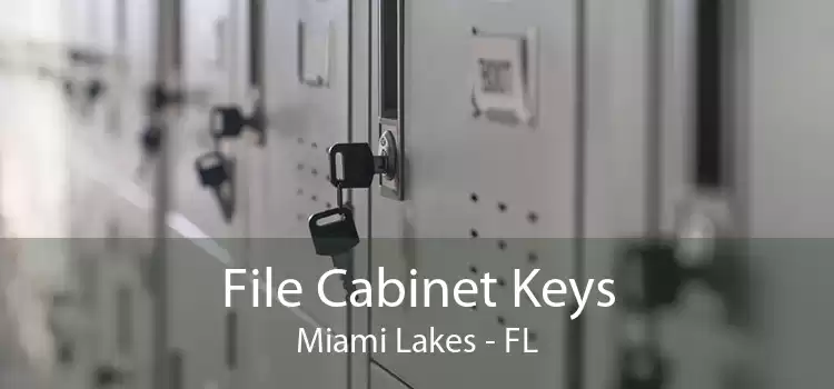 File Cabinet Keys Miami Lakes - FL