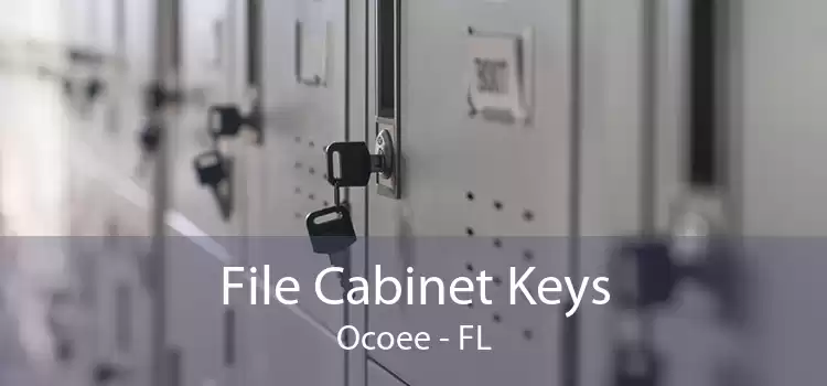 File Cabinet Keys Ocoee - FL