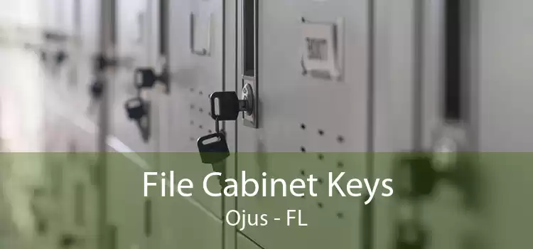 File Cabinet Keys Ojus - FL