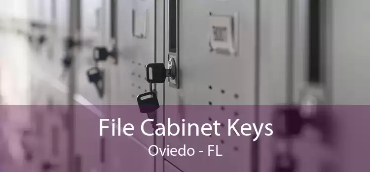 File Cabinet Keys Oviedo - FL