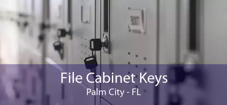 File Cabinet Keys Palm City - FL