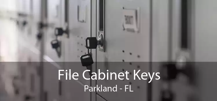 File Cabinet Keys Parkland - FL