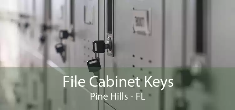 File Cabinet Keys Pine Hills - FL