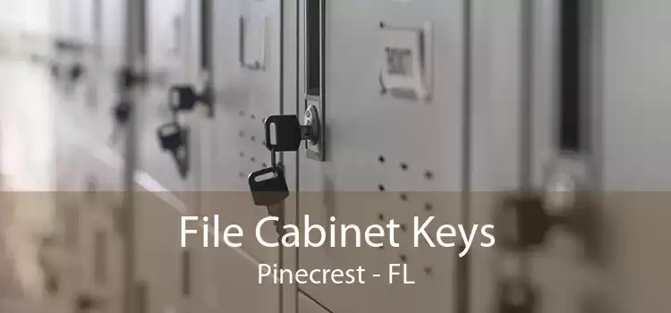 File Cabinet Keys Pinecrest - FL