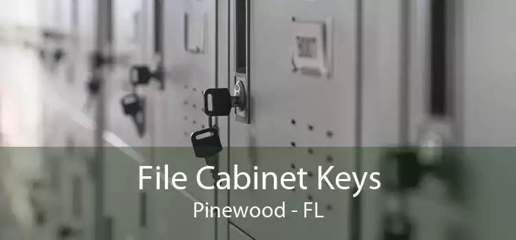 File Cabinet Keys Pinewood - FL