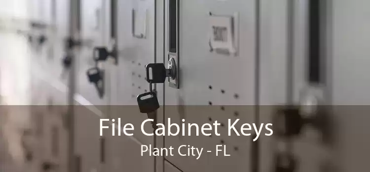 File Cabinet Keys Plant City - FL