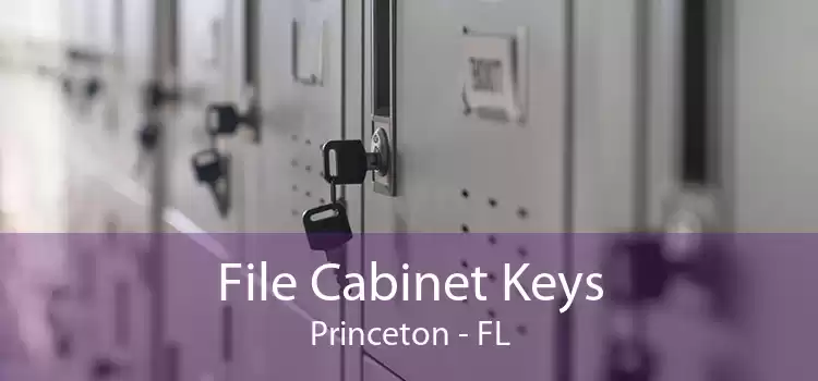 File Cabinet Keys Princeton - FL